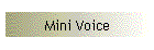 Mini Voice