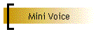 Mini Voice